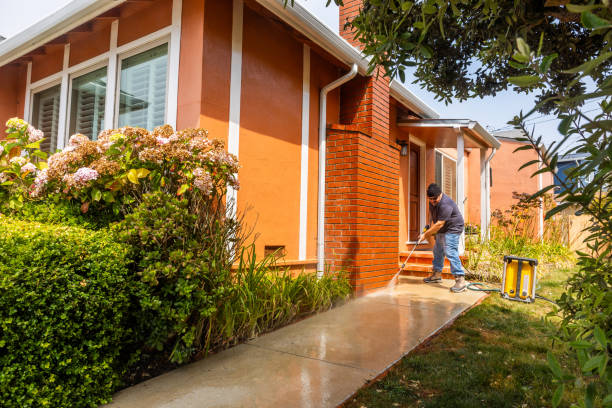 Best Pressure Washing Company Near Me  in Lorenz Park, NY