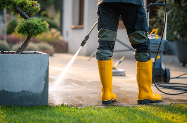 Best Affordable Power Washing  in Lorenz Park, NY